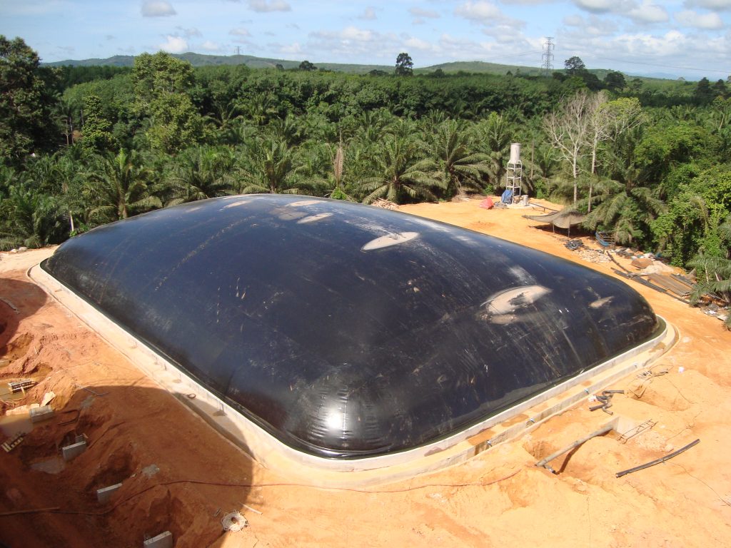ระบบ Biogas